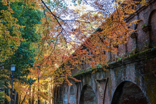 This historic brick aqueduct, part of a major canal system built to transport water from Lake Biwa to Kyoto City, is framed by vibrant red and orange autumn foliage.