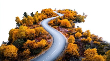 A winding road through a forest with autumn colors, surrounded by trees and rocks, with a clear blue sky in the background.