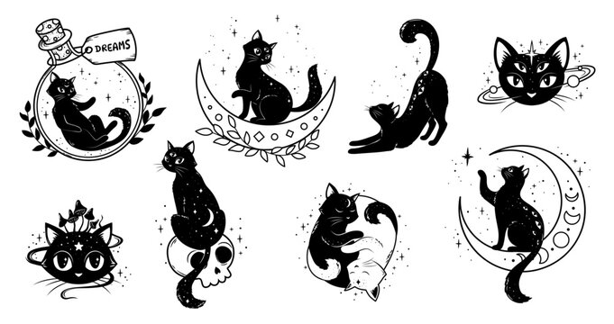 Mystic magic black cats, moon and stars, witchcraft and astrology vector symbols. Mystic celestial cats animals with dreams bottle, skull and mushroom line art signs for gothic tarot or tattoo