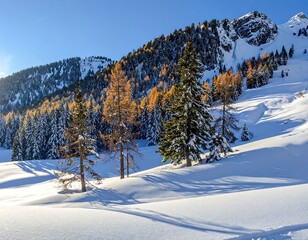 Snowy Mountain Landscape with Trees and Clear Blue Sky.