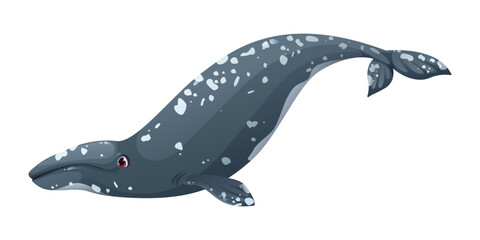 Cartoon cute gray whale whale character. Underwater life big mammal cute character, ocean marine animal happy vector cartoon mascot. Ocean fauna whale specie funny isolated personage