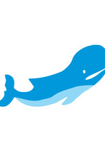 blue whale vector illustration