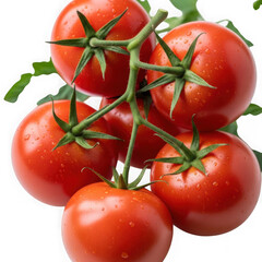 Fresh vine tomatoes isolated on transparent background