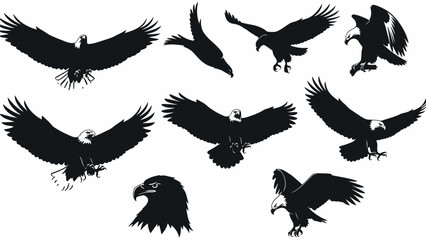 Obraz premium Dynamic collection of majestic eagle silhouettes captured in various powerful flight and poised positions, showcasing the grace and strength of these formidable birds of prey in nature