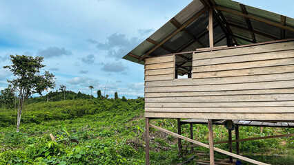 Wooden garden hut in a sunny rural landscape, surrounded by green plants and natural scenery. A peaceful farm setting with bright daylight and a calm outdoor atmosphere.