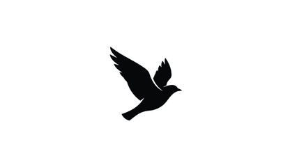 Bird silhouette flying freely in the air