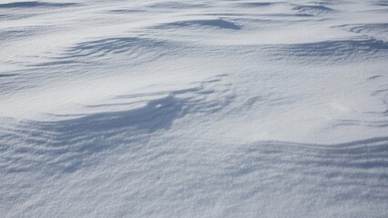 Vast glistening snowfield with gentle icy undulations
