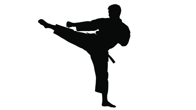 Man performing martial arts kick in silhouette - Powered by Adobe
