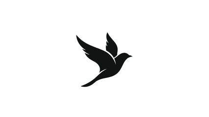 Bird silhouette flying freely in the air