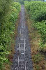 新緑のみどり市に伸びるわたらせ渓谷鐵道の線路