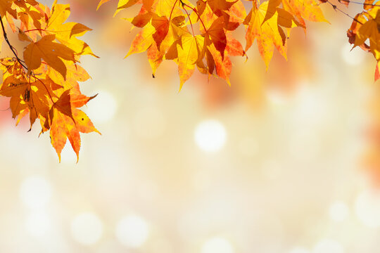 Colorful abstract fireworks on purple background illustration