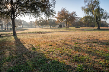 朝日に輝く谷中湖の公園