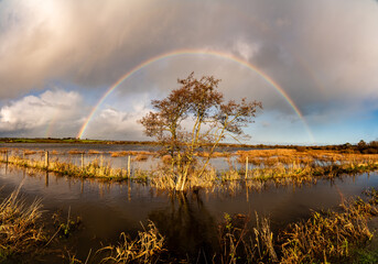 Flooding and rainbows along a path Anglesey