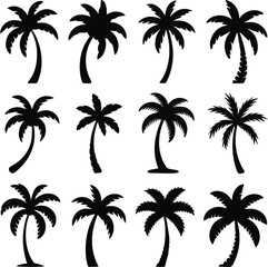 Fototapeta premium Create a Palm trees silhouette clipart set. Coconut tropical tree drawing clip art icon in black hand drawn elements collection vector illustration
