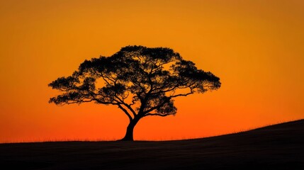 A solitary tree stands against an orange sky, casting a silhouette against the vibrant backdrop.