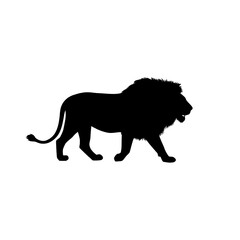 Majestic Lion Silhouette on White Background.