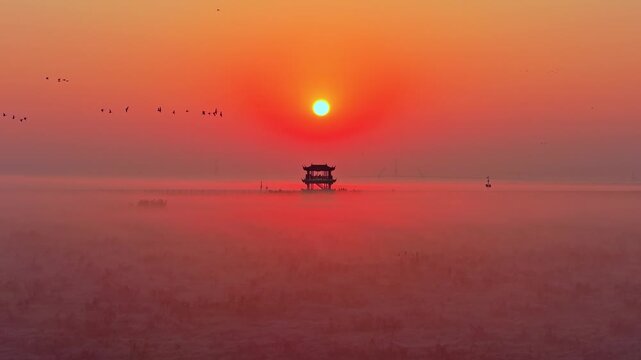 Sunrise over Poyang Lake wetlands, flocks of migratory birds, geese, and white storks