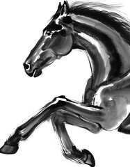 A brush-drawn ink painting of a horse in motion　筆で描いた躍動する馬の墨絵