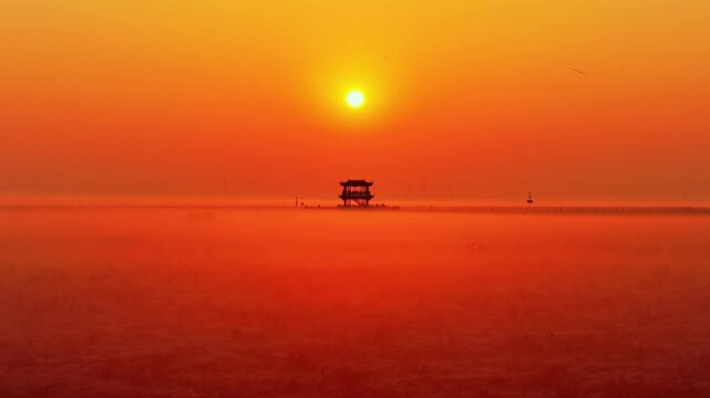 Sunrise over Poyang Lake wetlands, flocks of migratory birds, geese, and white storks