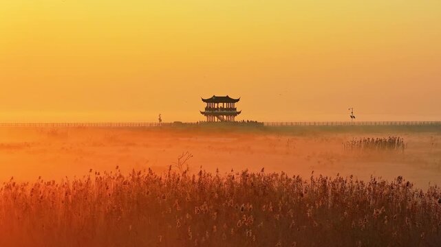 Sunrise over Poyang Lake wetlands, flocks of migratory birds, geese, and white storks
