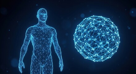 Digital human anatomy and network sphere concept