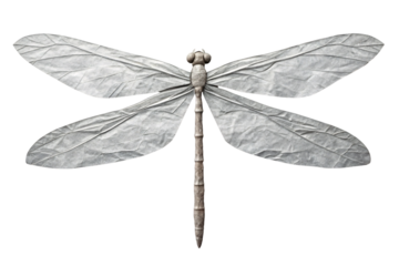 Gray crumpled paper dragonfly with four delicate wings spread symmetrically and segmented body, isolated on a transparent background