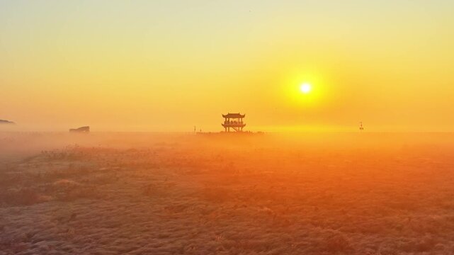 Sunrise over Poyang Lake wetlands, flocks of migratory birds, geese, and white storks