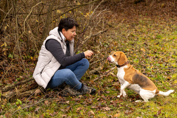 Woman training beagle dog