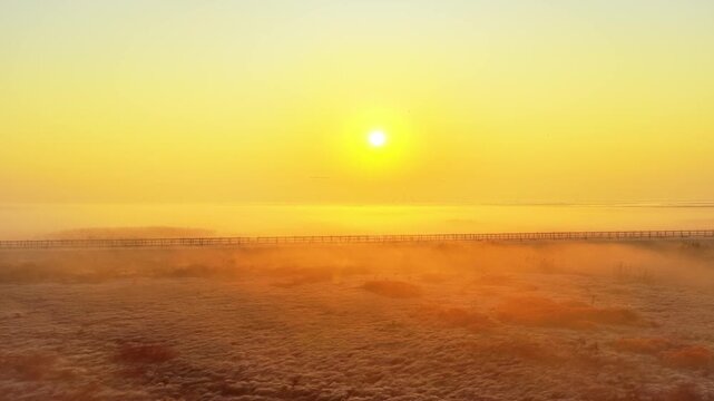 Sunrise over Poyang Lake wetlands, flocks of migratory birds, geese, and white storks