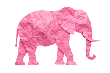 Elephant in profile with raised trunk filled with bright pink heavily crumpled paper texture, isolated on a transparent background