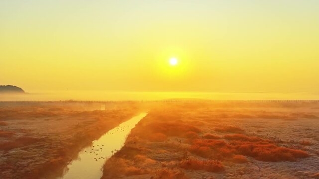 Sunrise over Poyang Lake wetlands, flocks of migratory birds, geese, and white storks