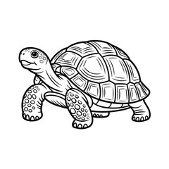 Fototapeta premium Sea Turtle Illustration Ocean Wildlife Vector Art