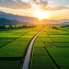 Sunset over rice paddies and a road.  Aerial view of a highway stretching through vibrant green rice paddies, towards a golden sunset behind rolling hills
