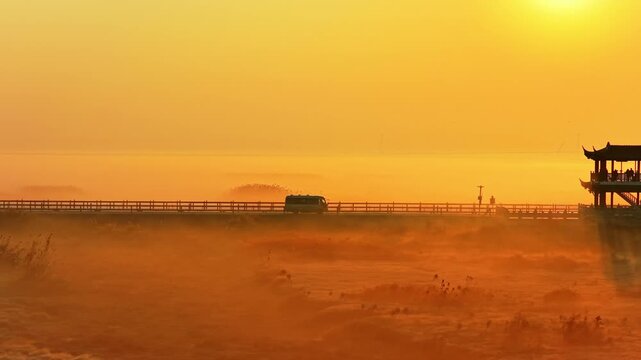 Sunrise over Poyang Lake wetlands, flocks of migratory birds, geese, and white storks