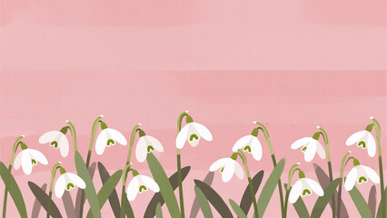 White flowers with green leaves on pink background