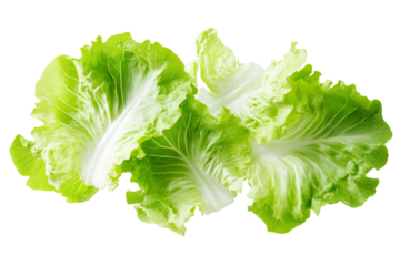 Fresh green lettuce leaves with visible veins and ruffled edges isolated on a transparent background