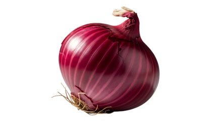 A single red onion with its skin and roots visible against a plain