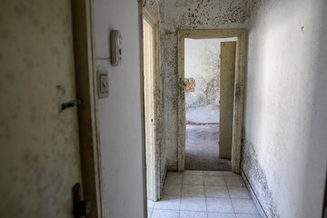 Details with mold heavy infesting the walls of an old apartment in a block of flats.