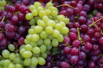 A vibrant close-up showcases bunches of red and green grapes, highlighting their natural beauty and freshness.