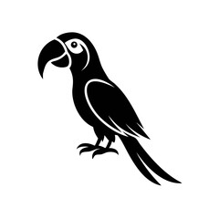 Obraz premium Black silhouette of a parrot perched, facing left, with detailed beak, eye, and tail feathers on a white background.