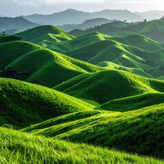 Lush green hills rolling gently into the distance.  Sunlight bathes the landscape in a soft glow