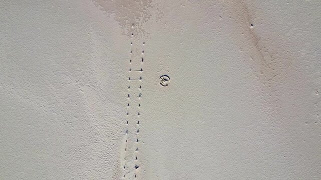 Sunken wheel in a saltlake in the australien outback, seen from above