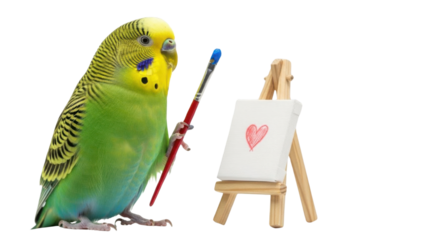 Green budgie bird holding a paintbrush painting a heart on a canvas isolated PNG with Transparent Background