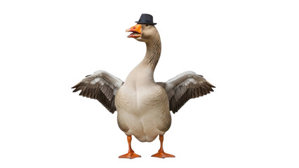 Obraz premium Goose wearing a hat with wings outstretched isolated PNG with Transparent Background