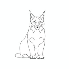 Obraz premium Outline Drawing of Majestic Wild Cat Sitting for Coloring Book Page