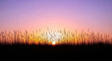 Silhouette of tall grass against a vibrant sunset sky, with shades of purple, orange, and yellow.