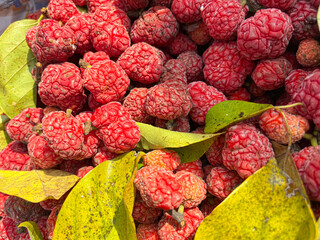 Stacked fresh, red Cudrania tricuspidata