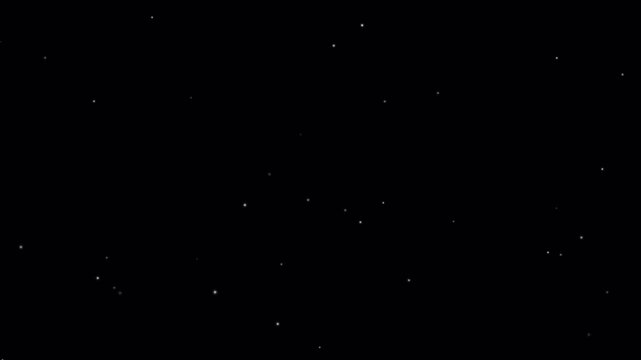 Floating  Organic Falling Dust Particles on Black Background. 4K Animation