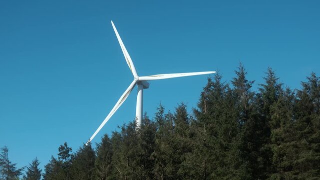 Wind turbine generating clean energy against a clear blue sky, partially obscured by the treeline in a rural location.