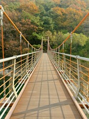 A Swaying Bridge leading to a forest of autumn leaves